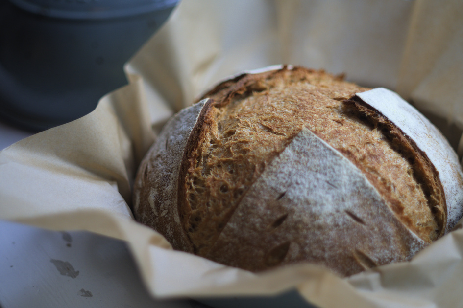close-up of a fresh flour sourdough loaf on parchment paper