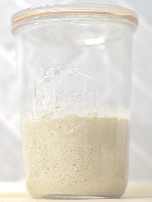 day 3 first bubbles, How To Grow a Sourdough Starter Zero-Waste