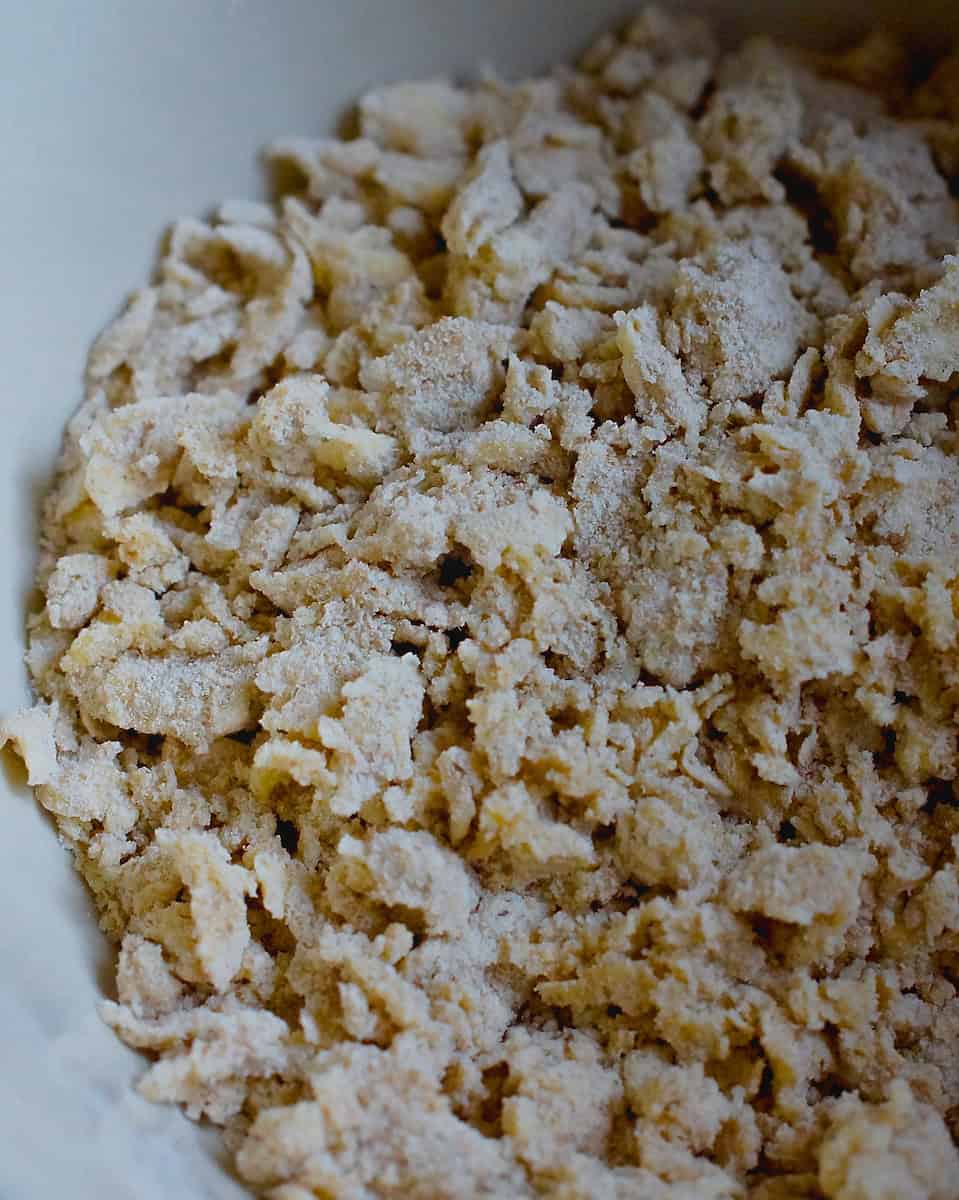 closeup of butter and flour mixture, showing the coarse crumbly texture and pea-sized chunks of butter