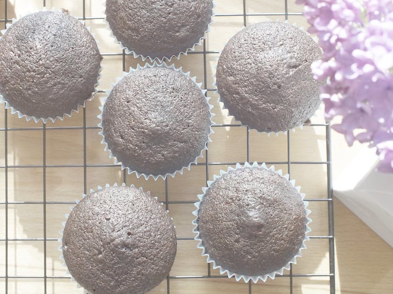 glossy black fresh milled chocolate cupcakes in paper liners on black cooling rack, flooded by sunlight, framed by a purple lilac blossom
