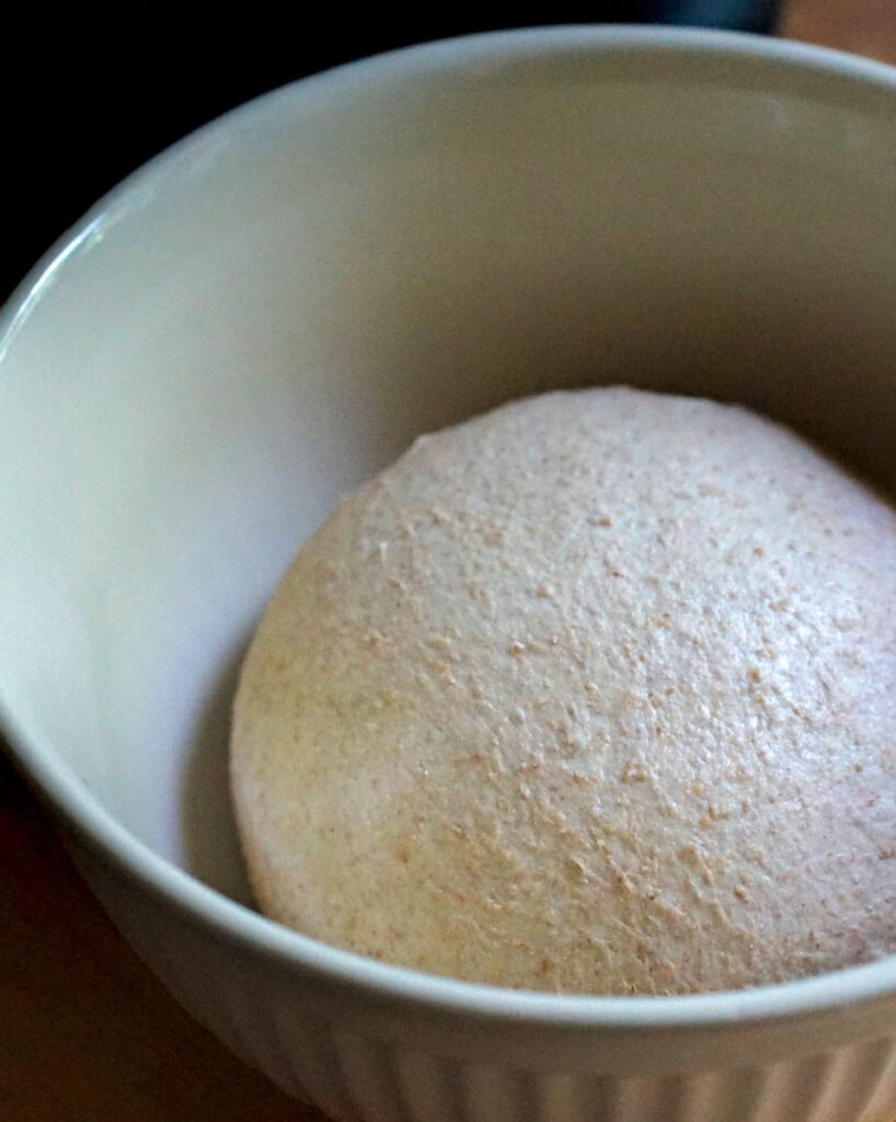closeup of kneaded sourdough bread dough in a cream ceramic bowl on a wooden counter