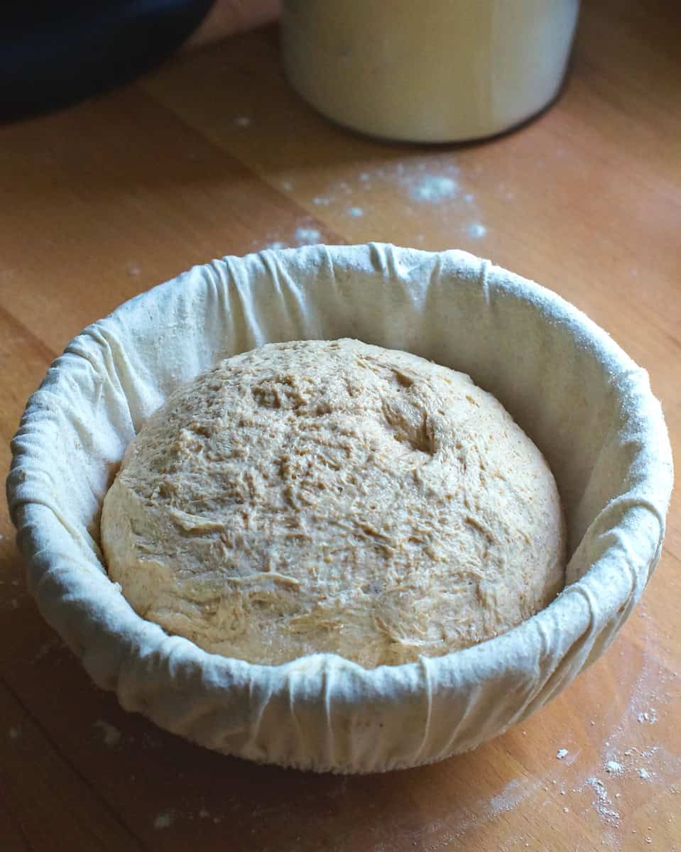 Soft Wheat sourdough bread dough resting in a lined banneton, seam side up, on a wooden kitchen counter