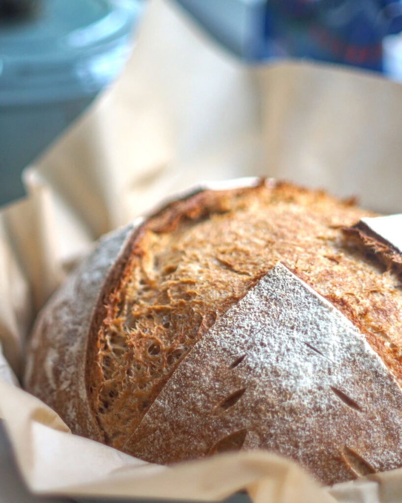 A round loaf of soft wheat sourdough bread, scored with a cross pattern and made with freshly milled whole wheat, is resting on parchment paper inside a light blue enameled cast iron pot.