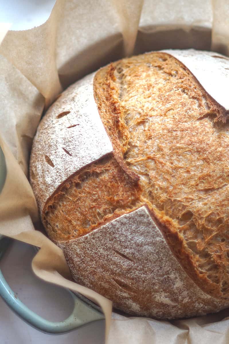 A round loaf of soft wheat sourdough bread, scored with a cross pattern and made with freshly milled whole wheat, is resting on parchment paper inside a light blue enameled cast iron pot.