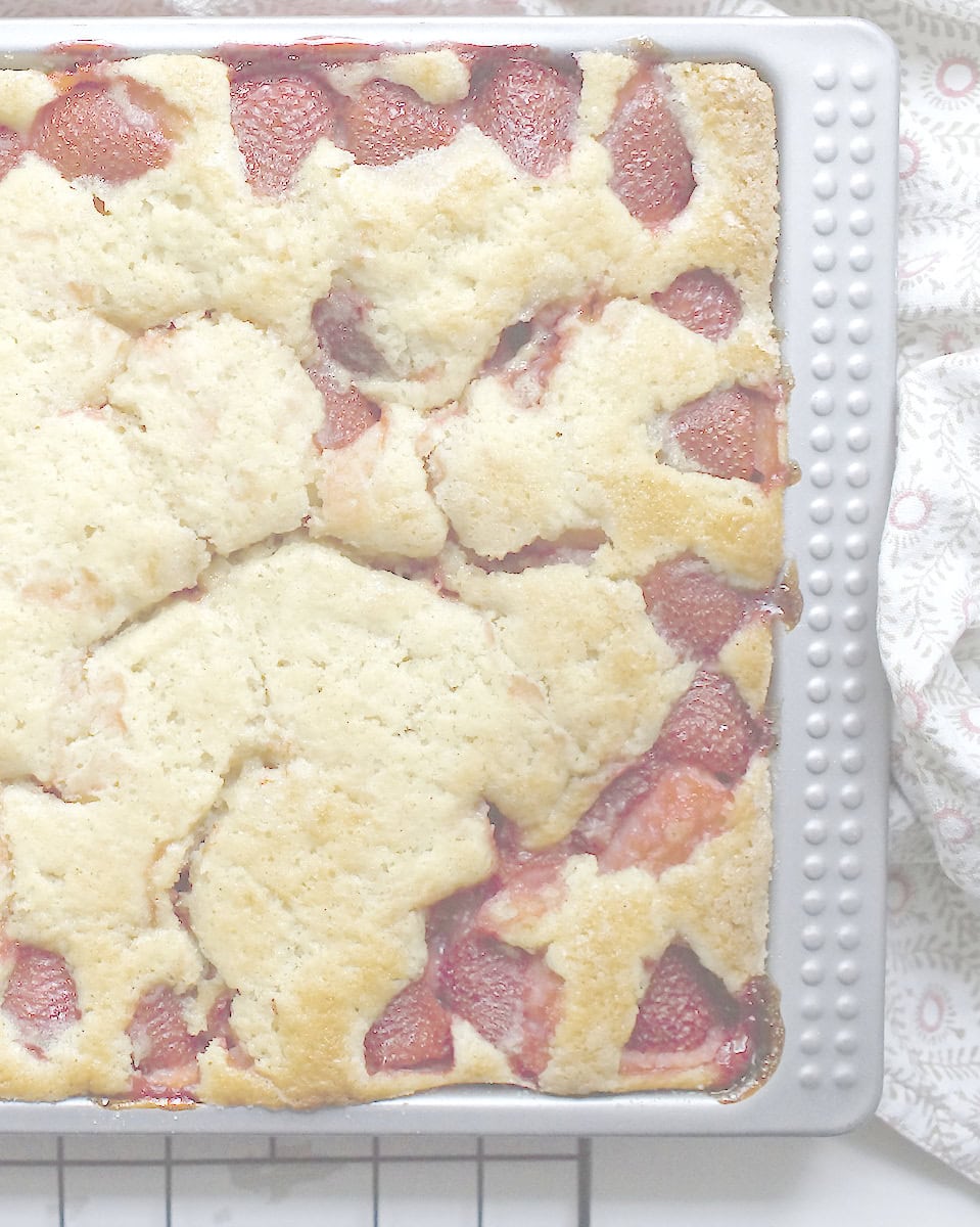 Close-up of fresh strawberry sourdough sheet cake baked in a rectangular pan, with jammy red berries nestled into a golden, vanilla-scented crumb.