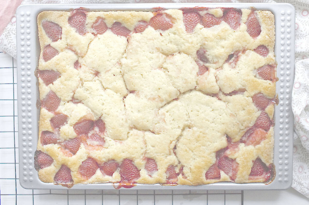 Wide shot of golden sourdough sheet cake topped with jammy red strawberries on a golden vanilla batter.