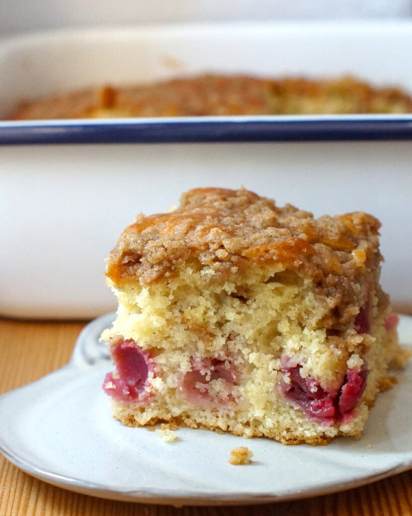 A square of sourdough discard cherry coffee cake on a small white plate, in front of a white baking pan with a dark blue rim.