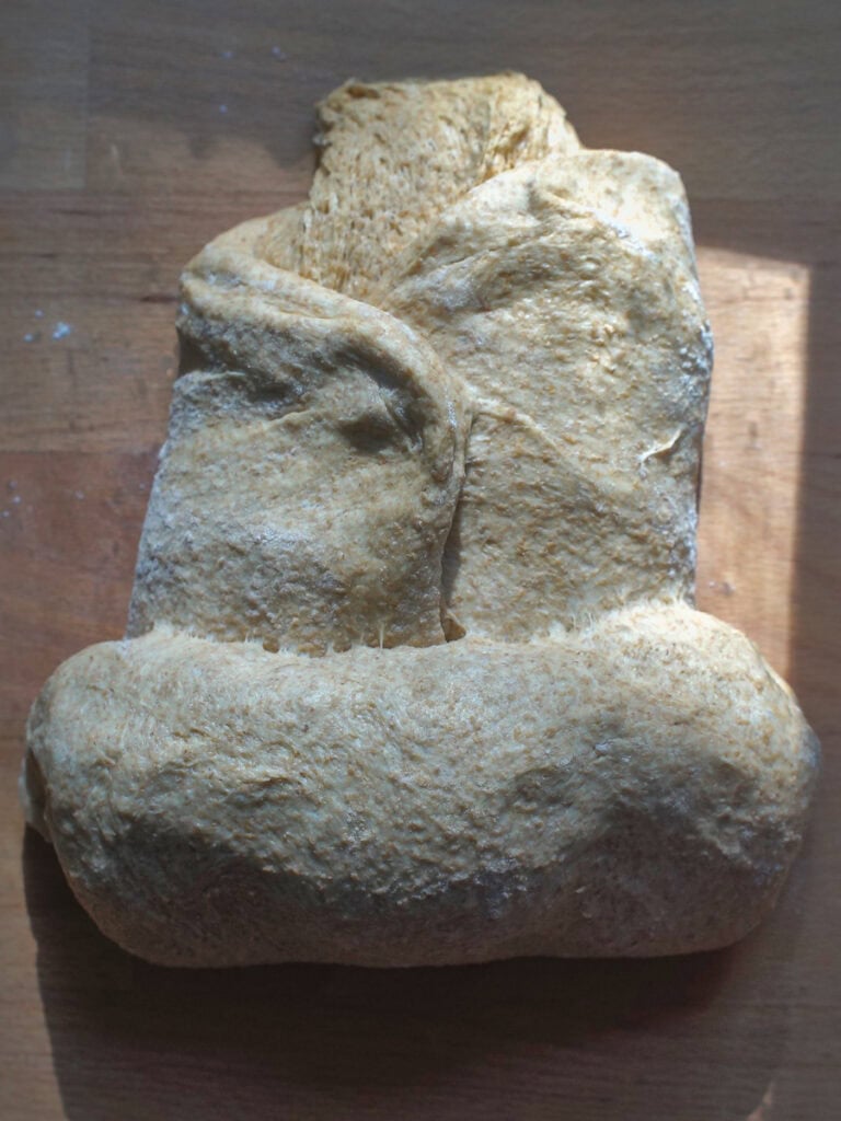 Sourdough discard sandwich bread dough, folded, and being rolled up into a tighter log.