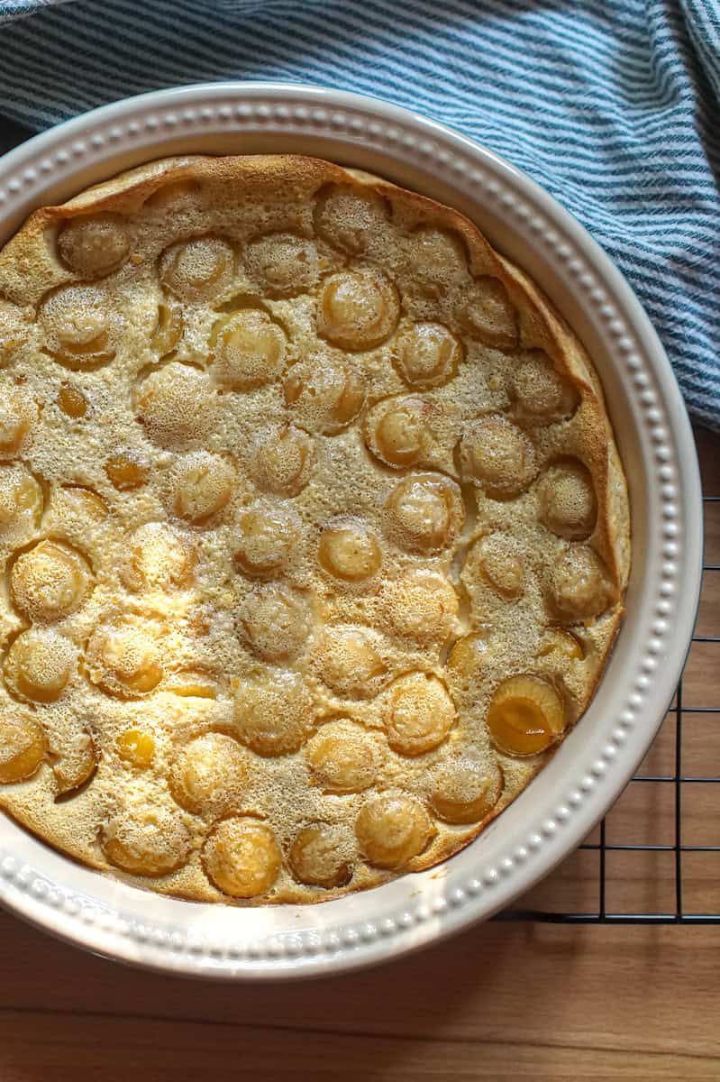 Mirabelle Einkorn Clafoutis, baked in the pan with golden brown edges and juice fruit, cooling off on a black wire rack.