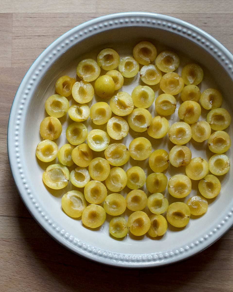 Mirabelle plums, resting cut side up in a greased pie pan, ready for the clafoutis batter.