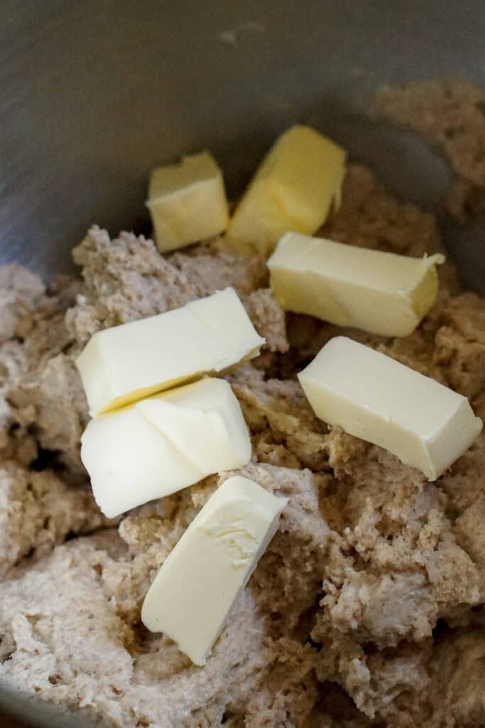 Big cubes of cold butter sit on top of the shaggy fermentolyse dough in the stainless steel stand mixer bowl