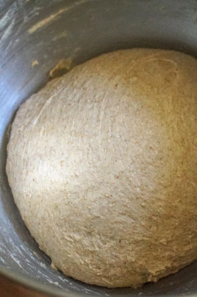 Kamut sourdough sandwich bread dough has been gathered into a smooth but sticky ball on the bottom of the stand mixer bowl.