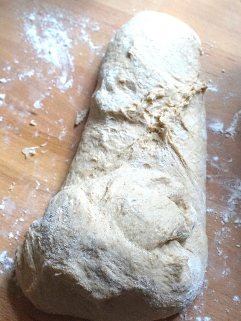 Kamut sourdough sandwich bread dough is being loosely rolled up from the short side to create a little bit of surface tension.