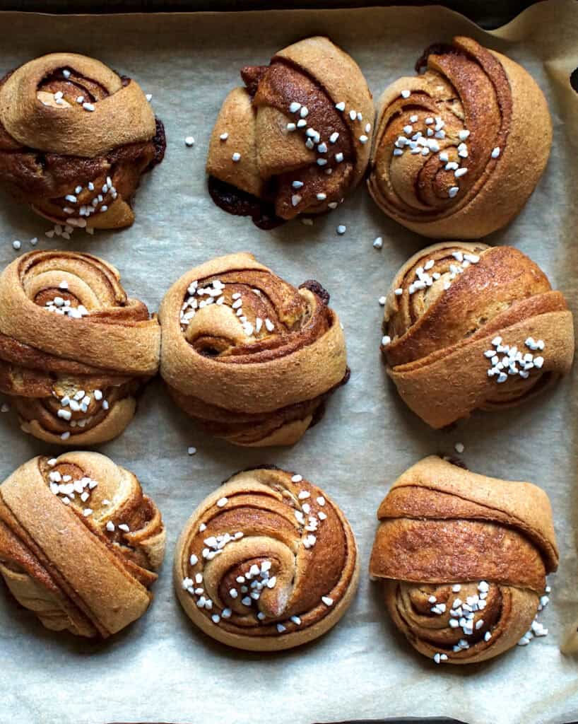 Baked golden brown whole wheat Swedish cinnamon rolls on a lined baking sheet have risen beautifully in the oven.