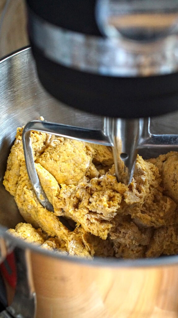 Shaggy pre mixed sourdough pumpkin bread dough in a stand mixer bowl before autolyse.