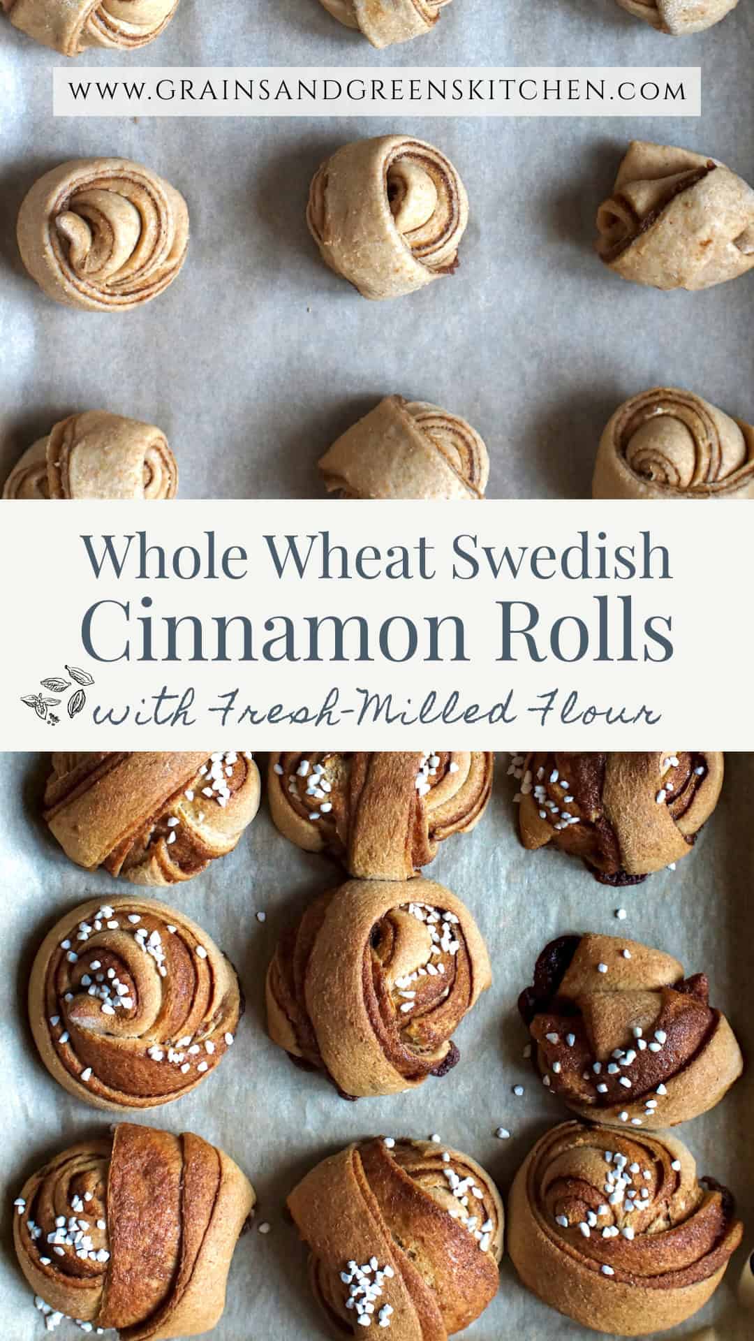 Split image, showing shaped and risen cinnamon rolls on a baking sheet before baking on the top. On the bottom, golden-brown baked cinamon rolls with dark swirls and white crunchy pearl sugar on top are cooling off on the lined baking sheet.
