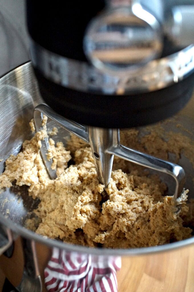 Shaggy pre-mixed European-style whole wheat sourdough sandwich bread dough made with fresh milled flour in a stand mixer bowl.