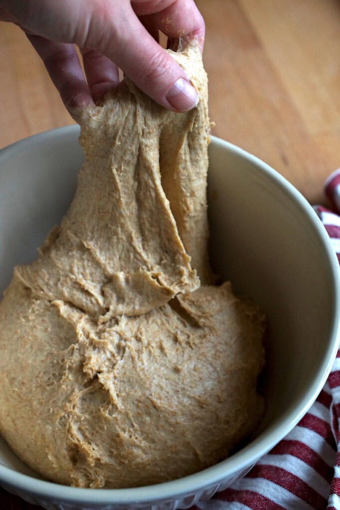 Hand lifting and stretching kneaded sourdough sandwich bread dough made with fresh milled whole wheat flour in a cream ceramic bowl.