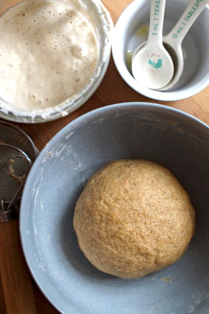 Fresh-milled sourdough flammkuchen dough resting in a blue ceramic bowl, with a jar of sourdough starter, small ingredient bowls, and measuring spoons arranged nearby.