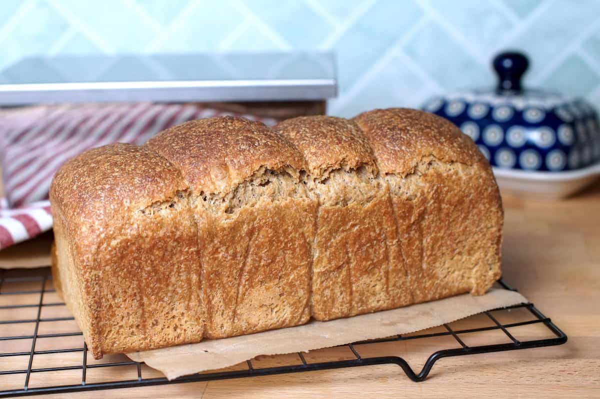 European-style sourdough sandwich bread loaf with fresh milled whole wheat flour, golden crust, even rise on a black cooling rack.