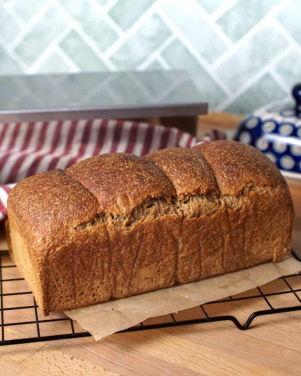 European-style sourdough sandwich bread loaf with fresh milled whole wheat flour, golden crust, even rise on a black cooling rack.
