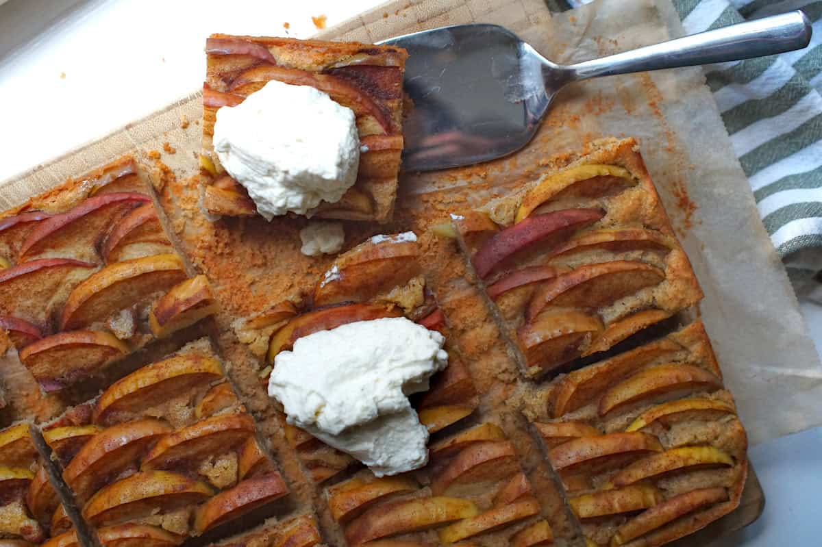 Overhead view of golden sourdough apple cake cut into squares, and two pieces topped with a dollop of bright white whipped cream.